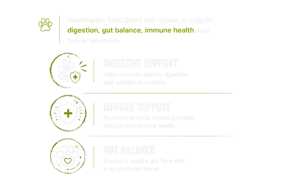 Veterinarian formulated soft chews - Digestive Support, Immune Support, Gut Balance