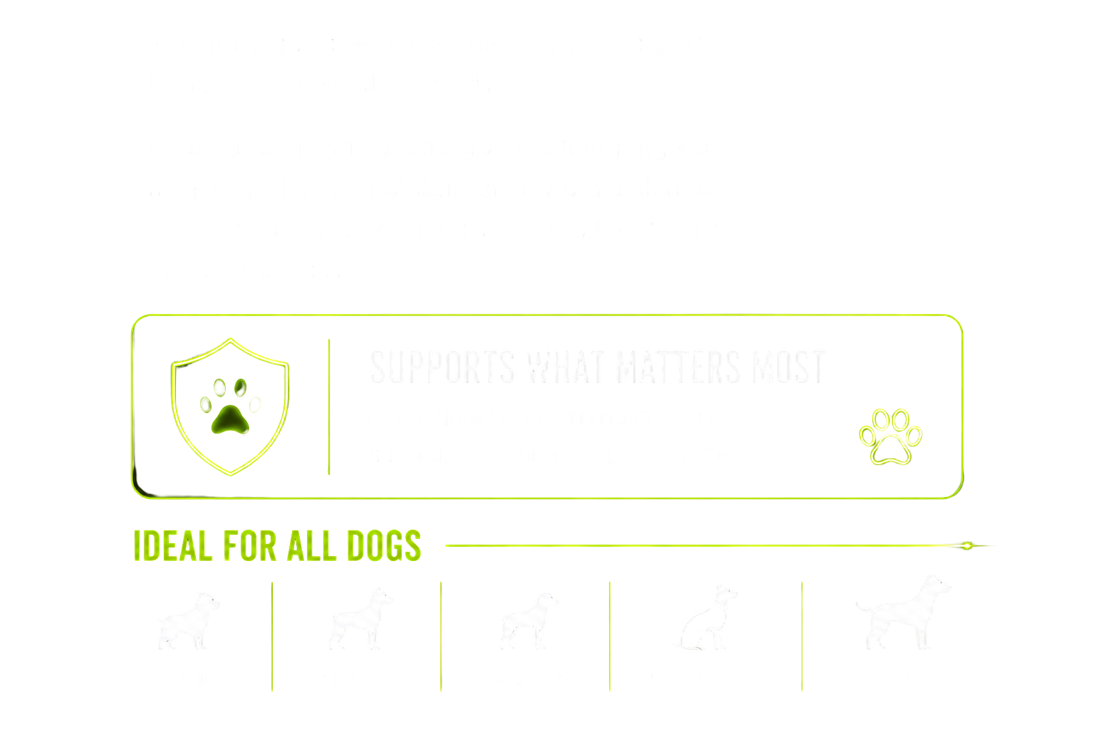 A healthy gut supports their whole body. Supports What Matters Most. Ideal For All Dogs - Puppies, Adults, Seniors, All Breeds, All Sizes